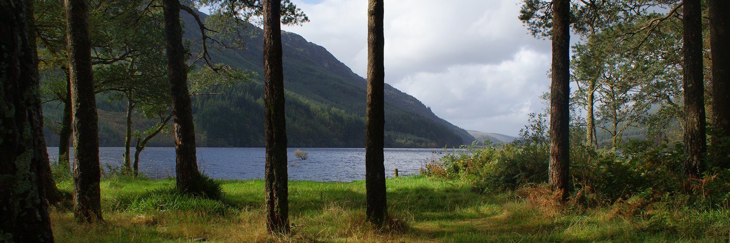 Through the trees to Loch Eck