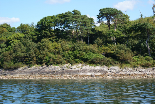 Portavadie woodlands from Loch Fybe