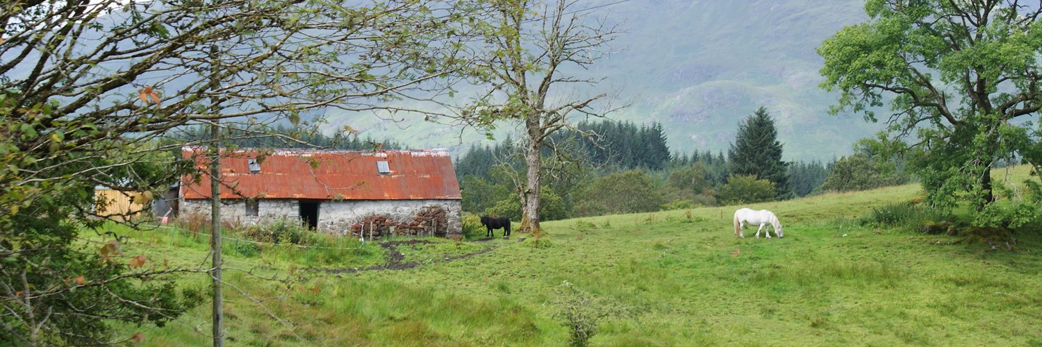 red tinned roof cottage and horse