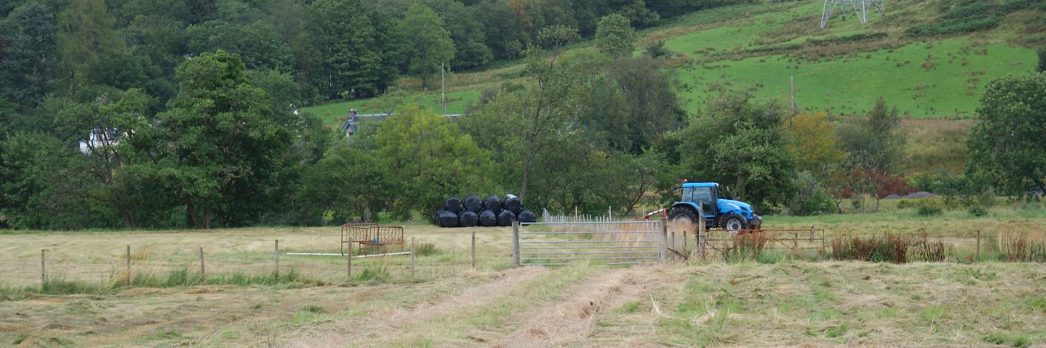 Farmland at Dalmally